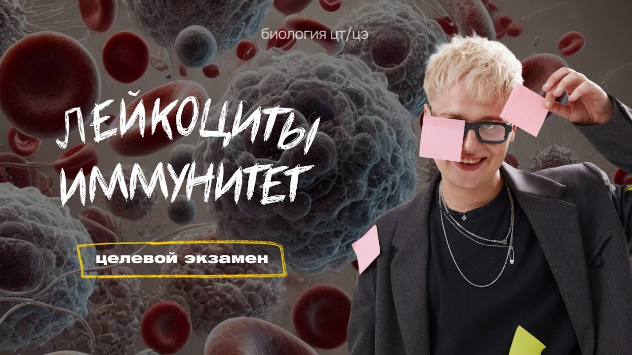 ЛЕЙКОЦИТЫ. ВИДЫ ИММУНИТЕТА | Целевой экзамен
