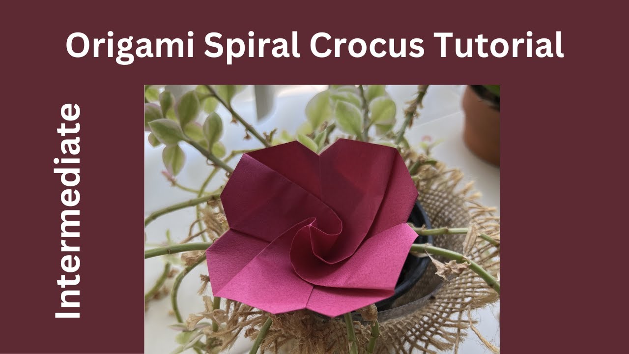 Origami Spiral Crocus Tutorial