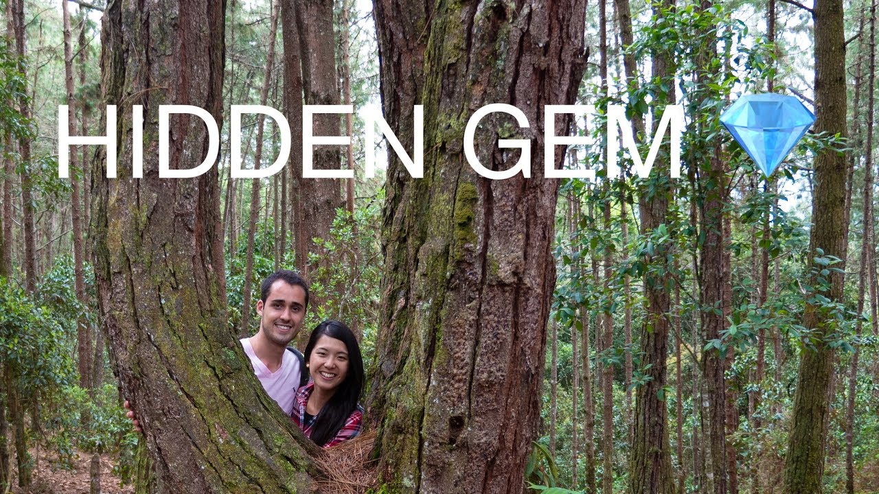 A place you should visit if you are in Medellin - Colombia 🇨🇴🌱
