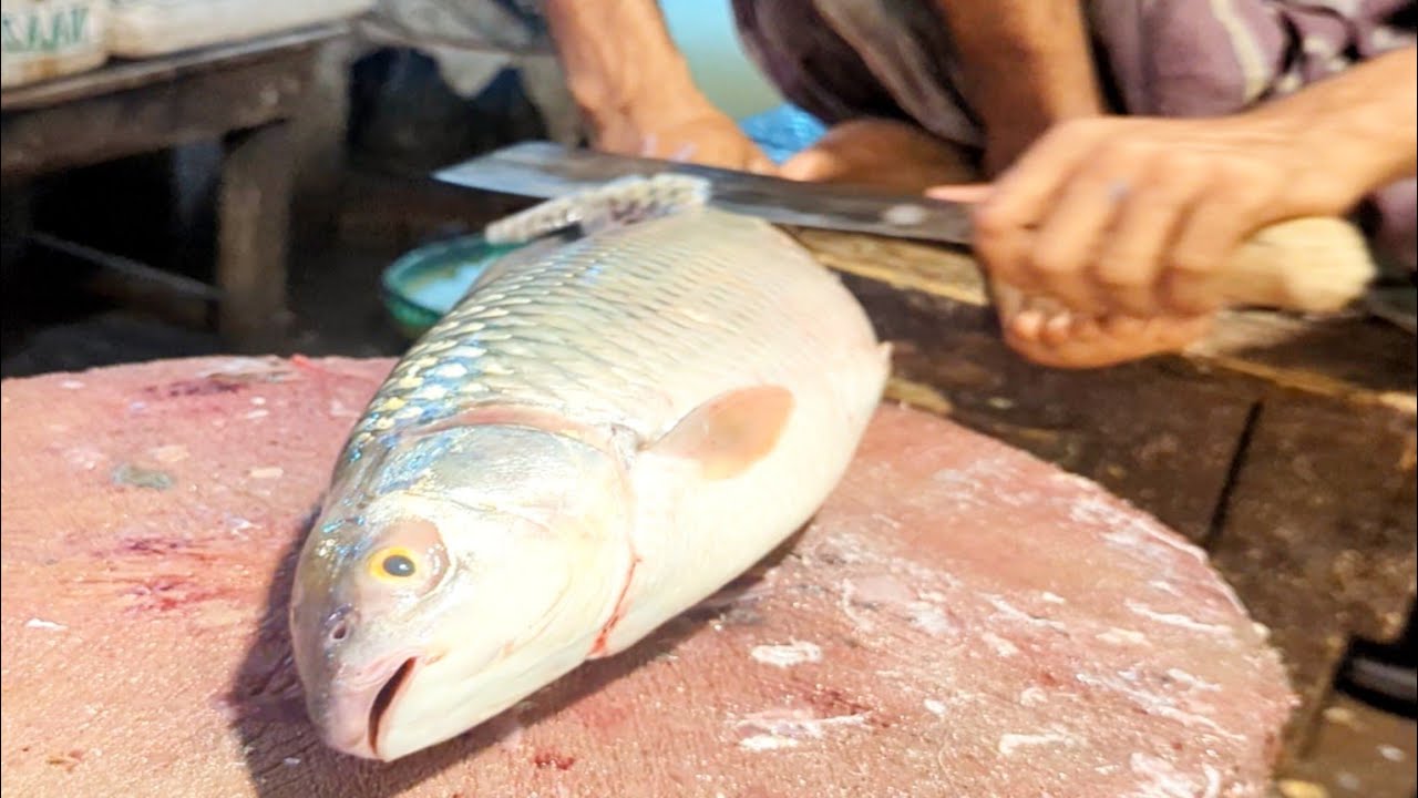 Big Mrigal Fish Cleaning & Chopping By Expert Fish Cutter In Bangladesh Fish Market