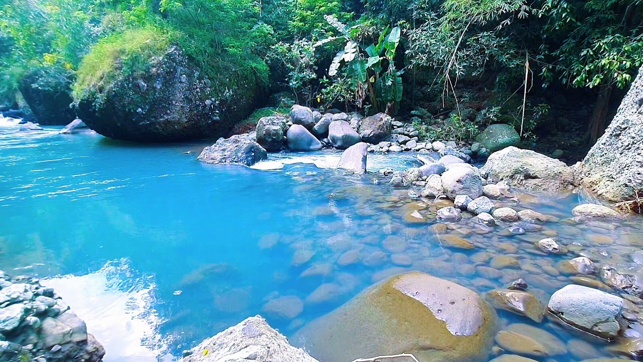 Forest River Flow for Mental Ease