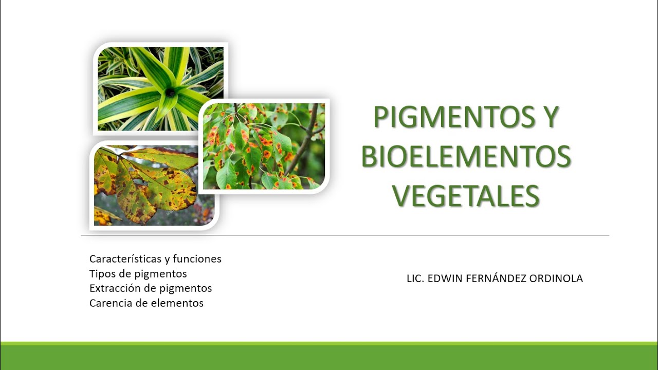 BOTÁNICA- Pigmentos y Bioelementos Vegetales