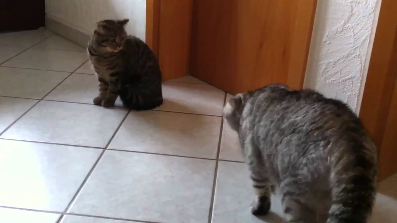 Das erste Treffen