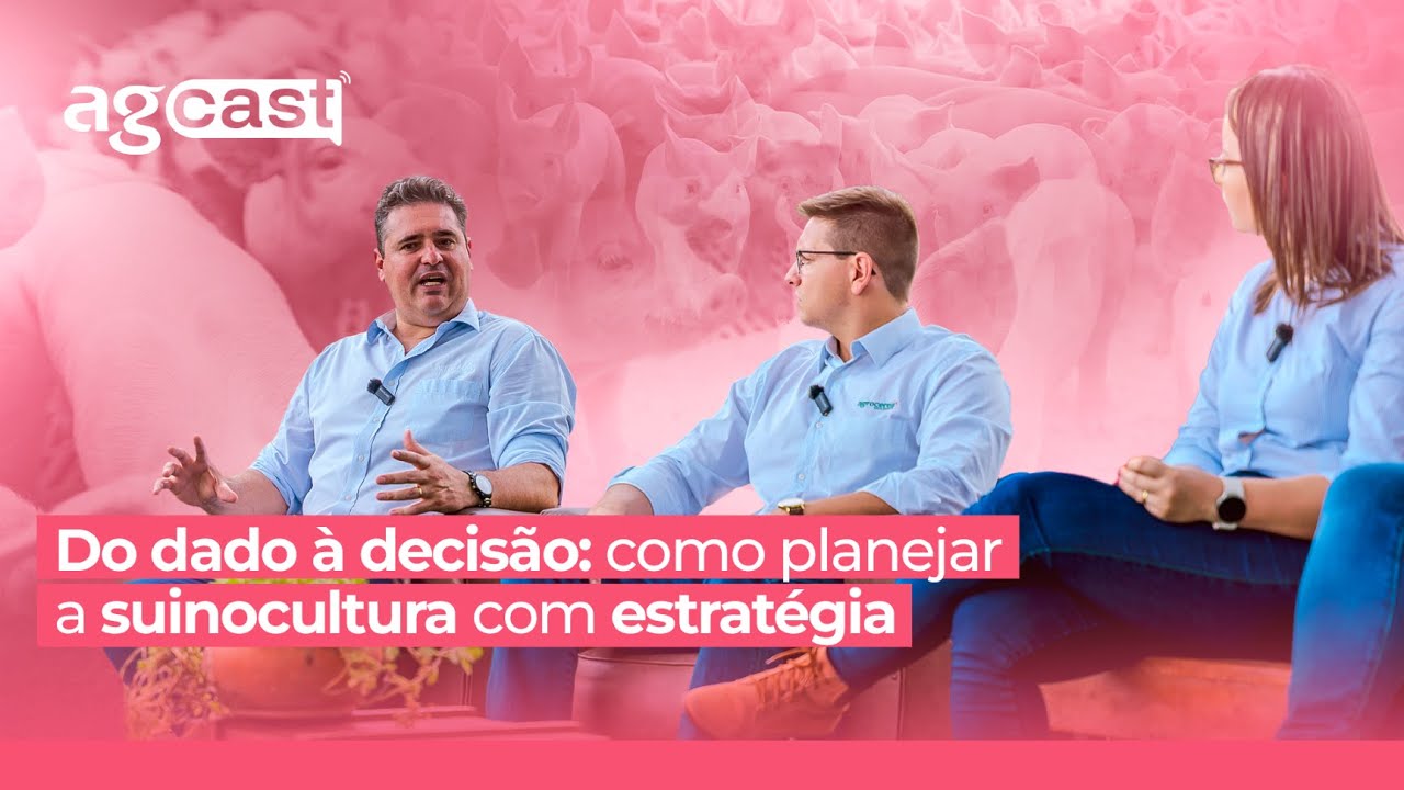 agCast | Do dado à decisão: como planejar a suinocultura com estratégia