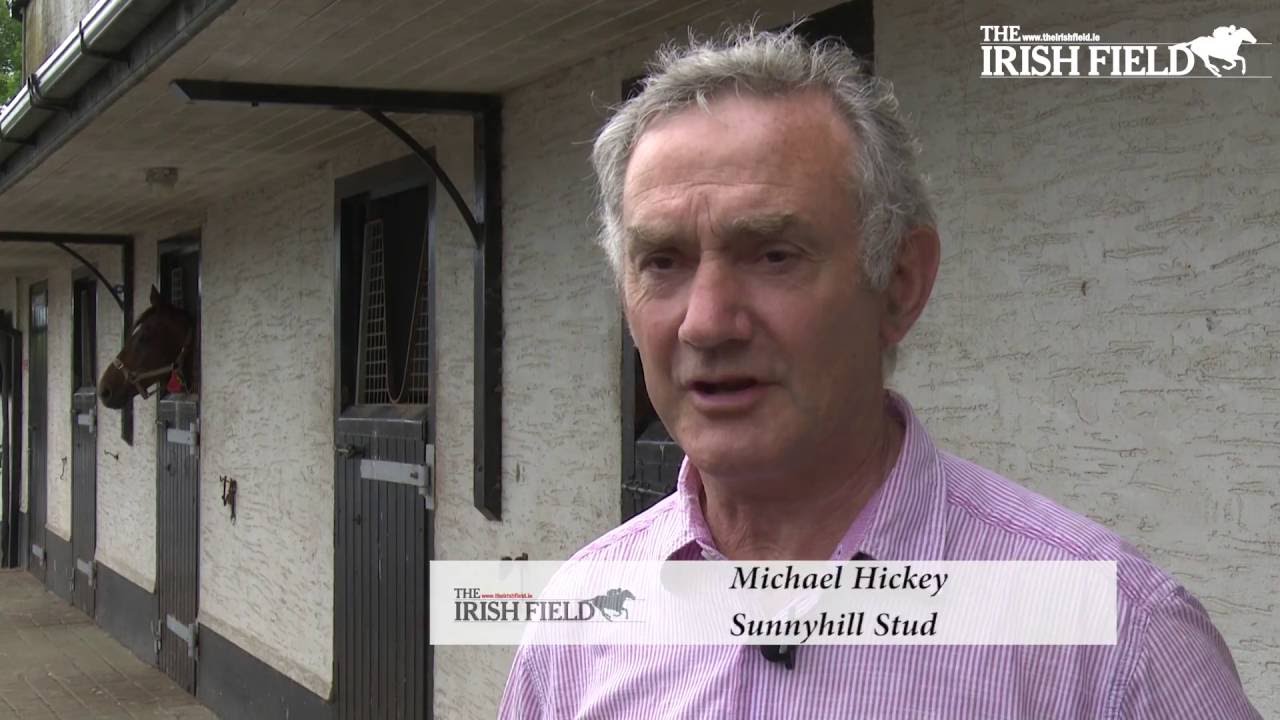 Sunnyhill Stud 2016