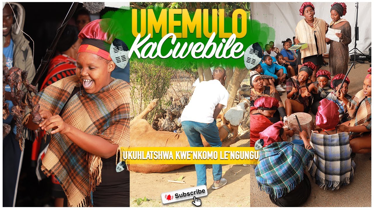 Umemulo KaCwebile Mkhwanazi |Ngosuku Lokuhlatshwa KweNkomo