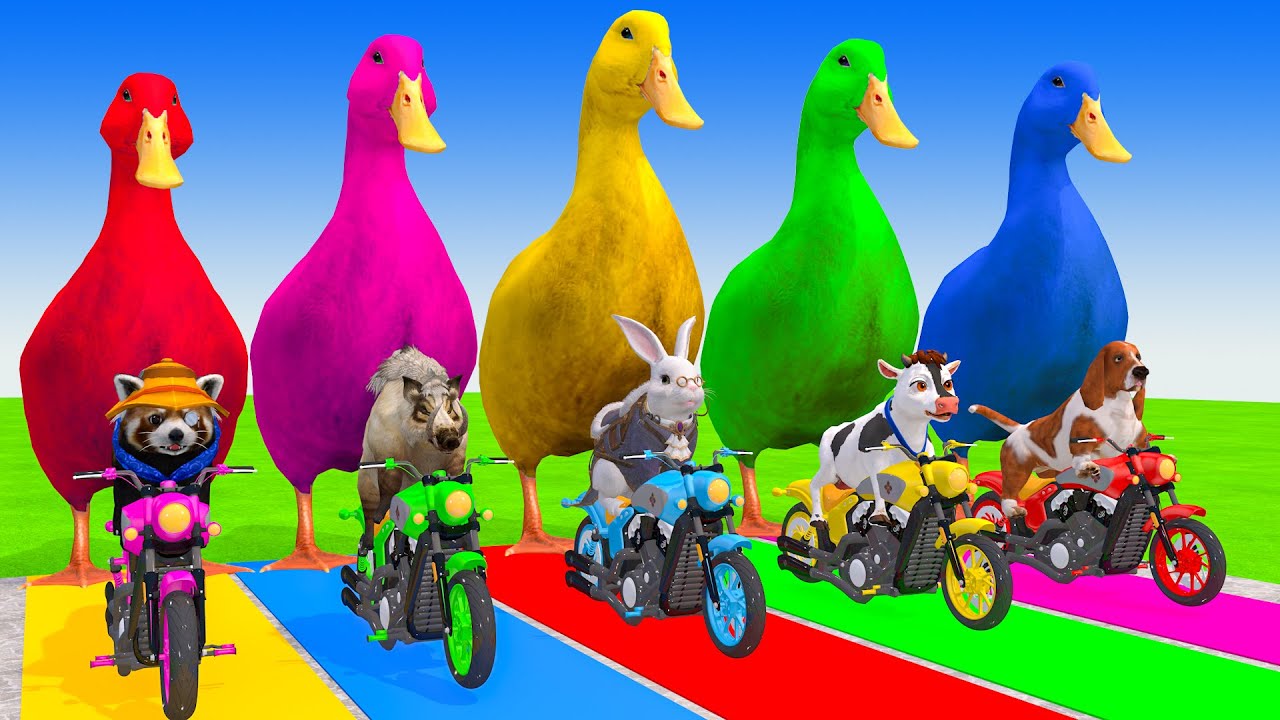 Long Slide Game with Cow Elephant Lion Cat Goat 3d Animal Game Funny 3d Animals