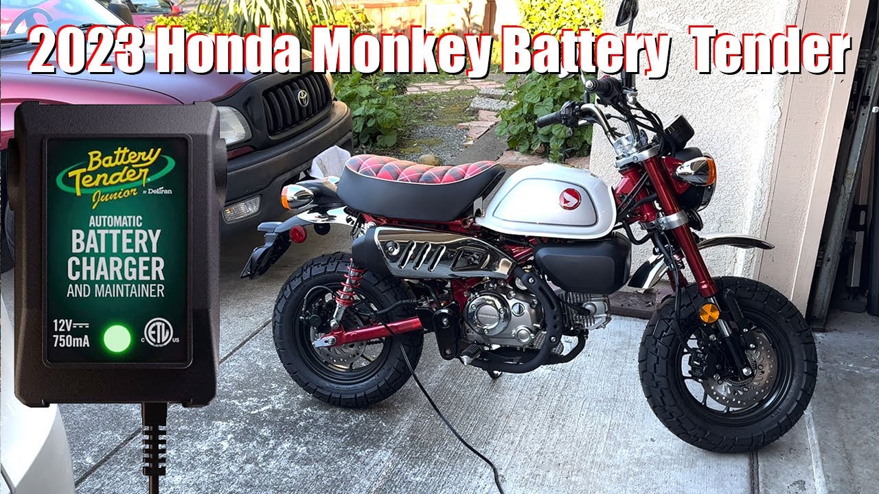 2023 Honda Monkey Battery Tender install