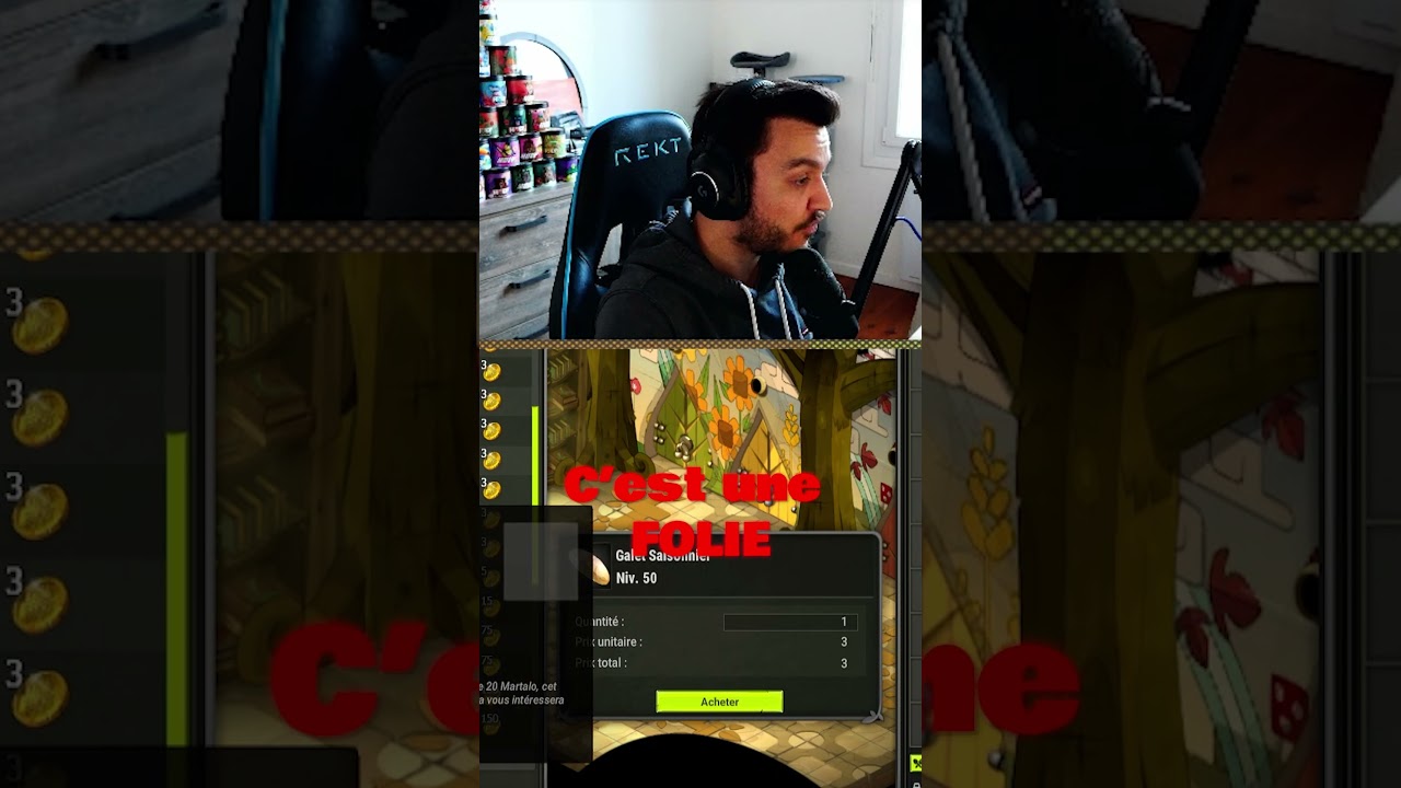 LA BEST ASTUCE KAMAS DU SERVEUR OMBRE ! DOFUS KAMAS ! 