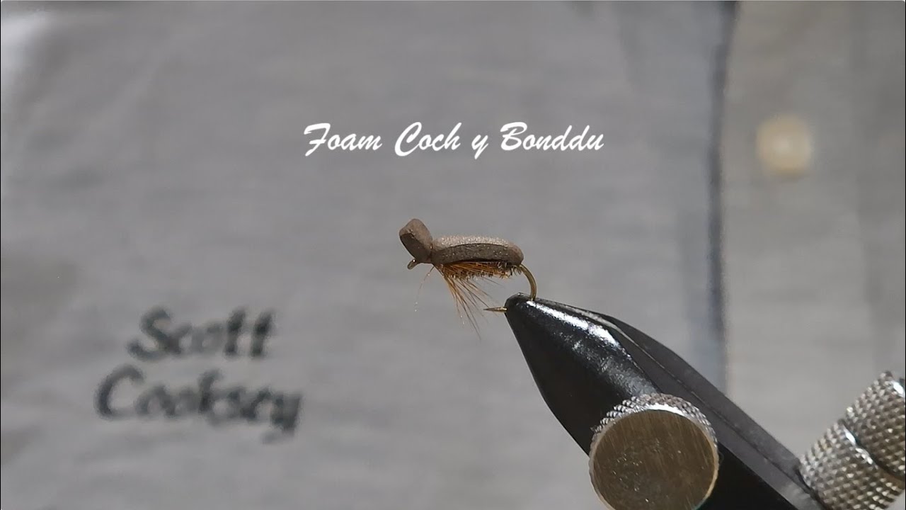 Foam Coch y Bonddu