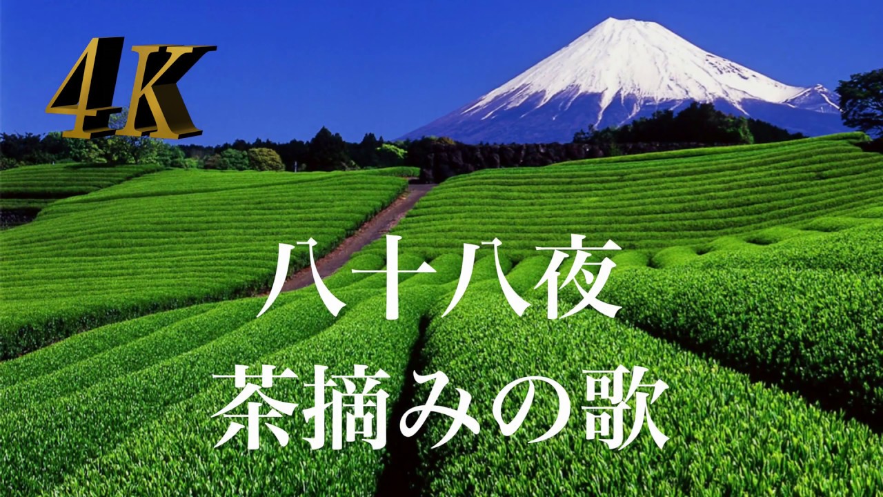 4K 童謡唱歌　♫八十八夜　茶摘みの歌　歌詞付き
