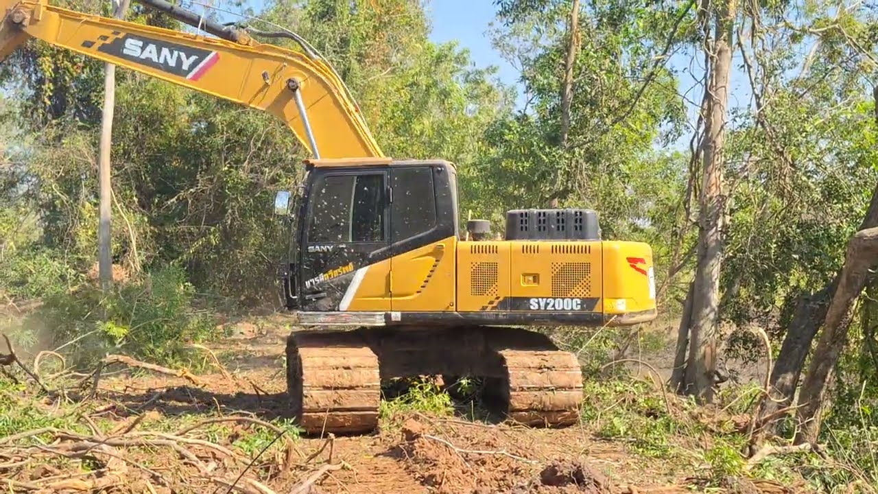รีวิวงานเคลียริ่งป่าเพื่อลอกคลองจัดชุดใหญ่ Sany sy200c ชมไปบ่นไป excavator