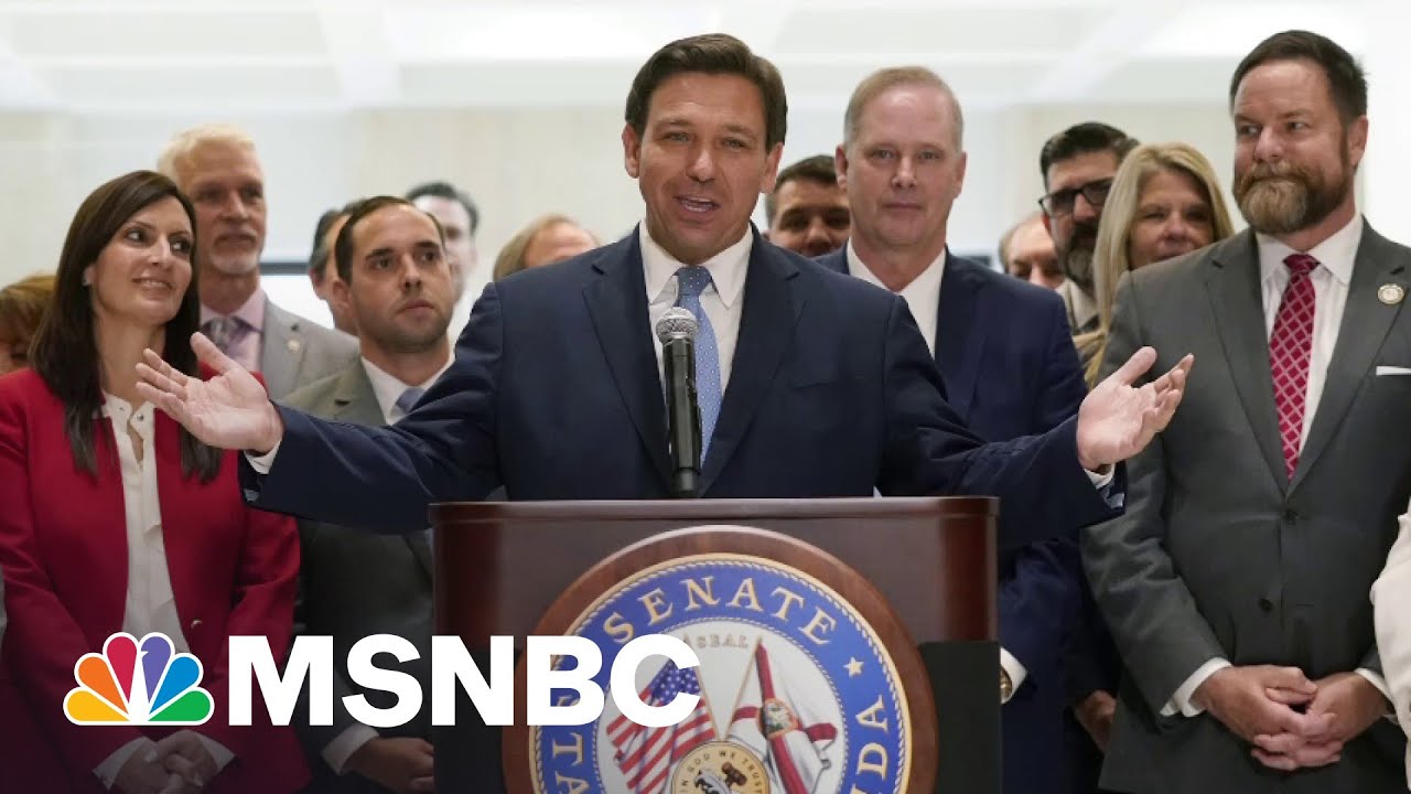 Republican &lsquo;Power Grab&rsquo;: Florida Rep On His State's New Voter Restriction Law | All In | MSNBC
