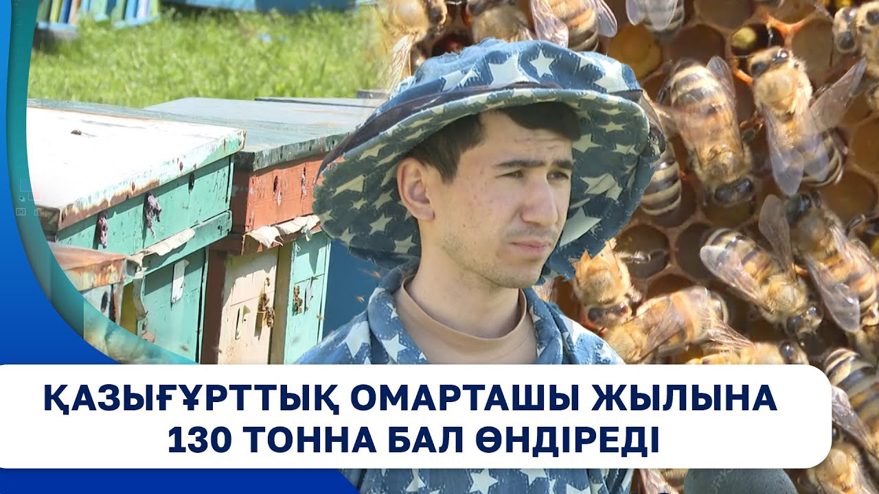 Қазығұрттық омарташы жылына 130 тонна бал өндіреді