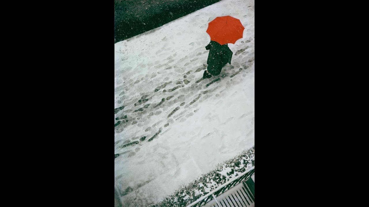 Saul Leiter Early Color