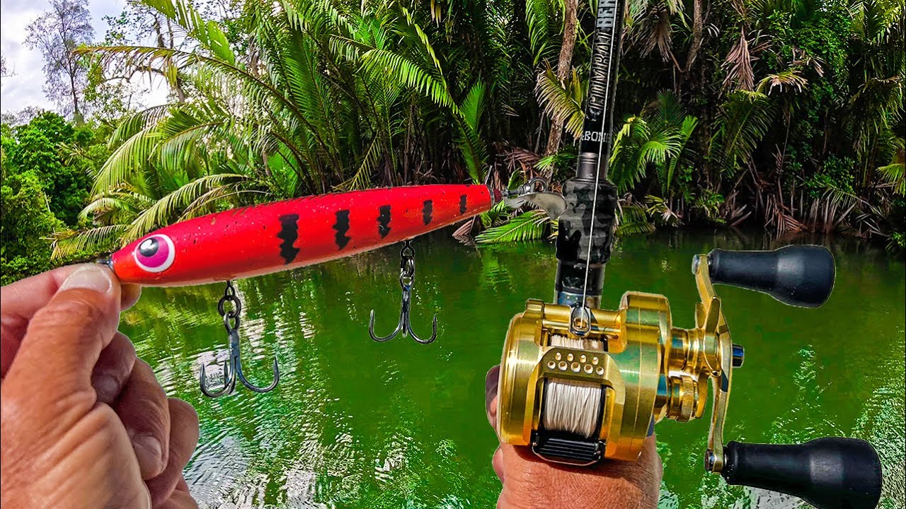 The Worlds STRONGEST Fish - Day 1 at Baia Lodge PNG