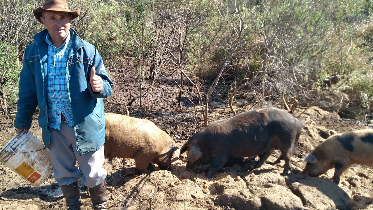 TROPEIRO VIVE IGUAL ANTIGAMENTE SEU EDGAR