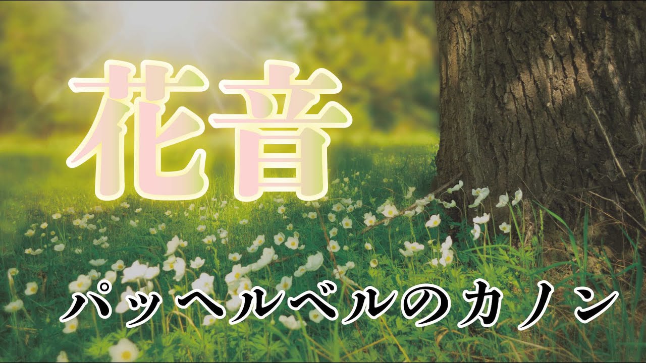 花音～Canon in D　パッヘルベルのカノン　二胡：小林寛明