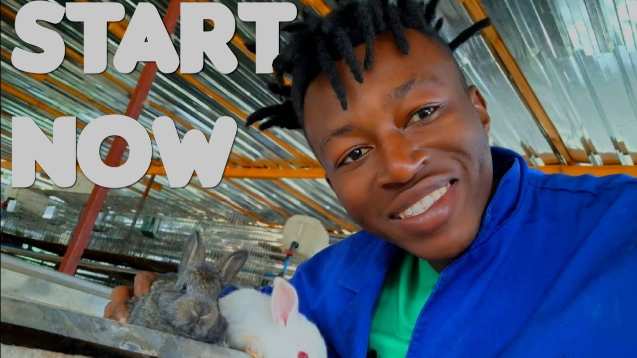 Start Your FARM NOW And Reap The Benefits!