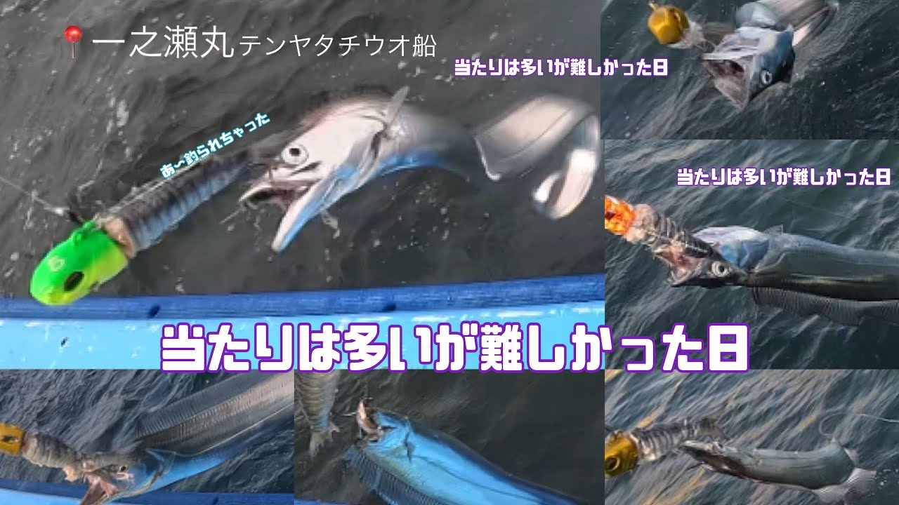 〈テンヤタチウオ〉ムズ楽しい日🚨太刀魚マスターを夢見る女の記録✊🏽💭