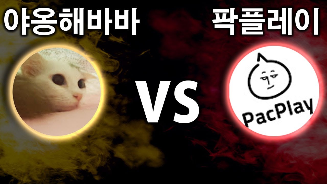 야옹해바바 VS 팍플레이 유튜브 계정 걸고 1대1 자존심 대결 ㅋㅋㅋㅋ