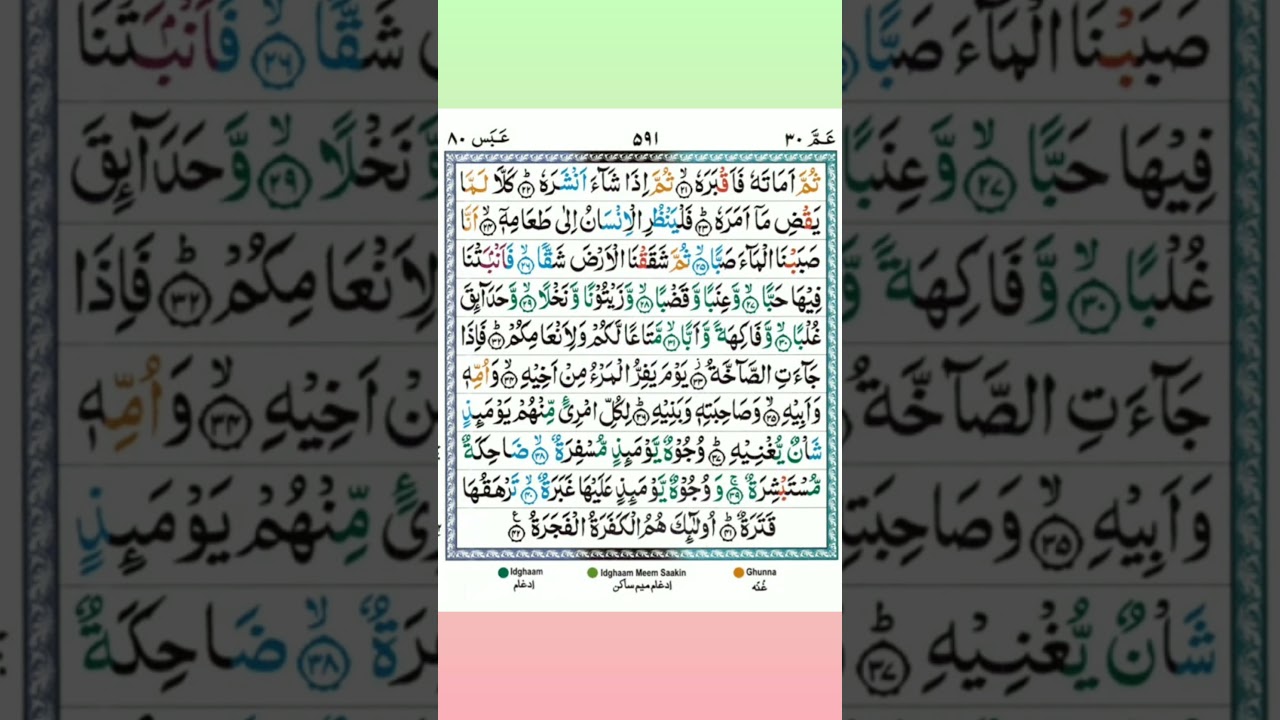 SURAH ABASA #surahabasa #tilawat #darsequran #islamicvideo #like #quranrecitation #quranpak