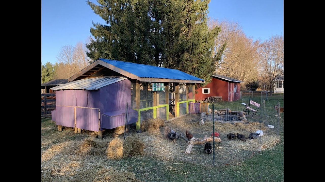 Building a Chicken Palace
