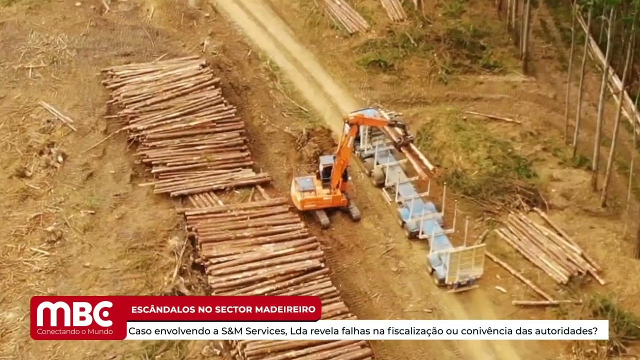 EMPRESA S&M SERVICES, LDA EXTRAPOLA QUOTA DE EXPORTAÇÃO DE MADEIRA EM MAIS DE 40%