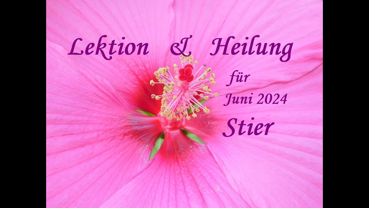 🌈Stier: ABLEHNUNGSschmerz überprüfen & LIEBE zu EUCH SELBST pflegen ERLÖST tiefe TRAUER - JETZT!🌈