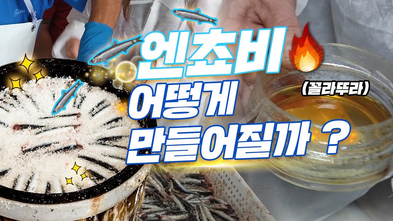 엔쵸비? 이탈리아의 멸치젓 어떻게 만들어지는지 궁금하시지는 않으셨나요? / How to make salted anchovy/ Italy local