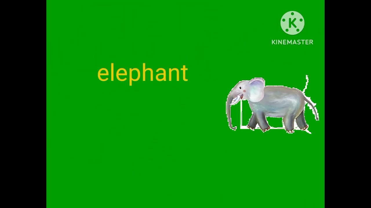 learning letter e elephant egg