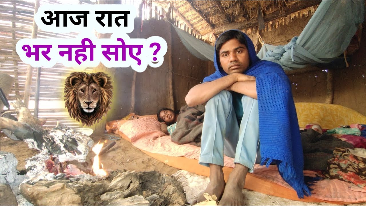 आज रात भर नही सोए ? | #srekkavlogs #dailyvlog #lion