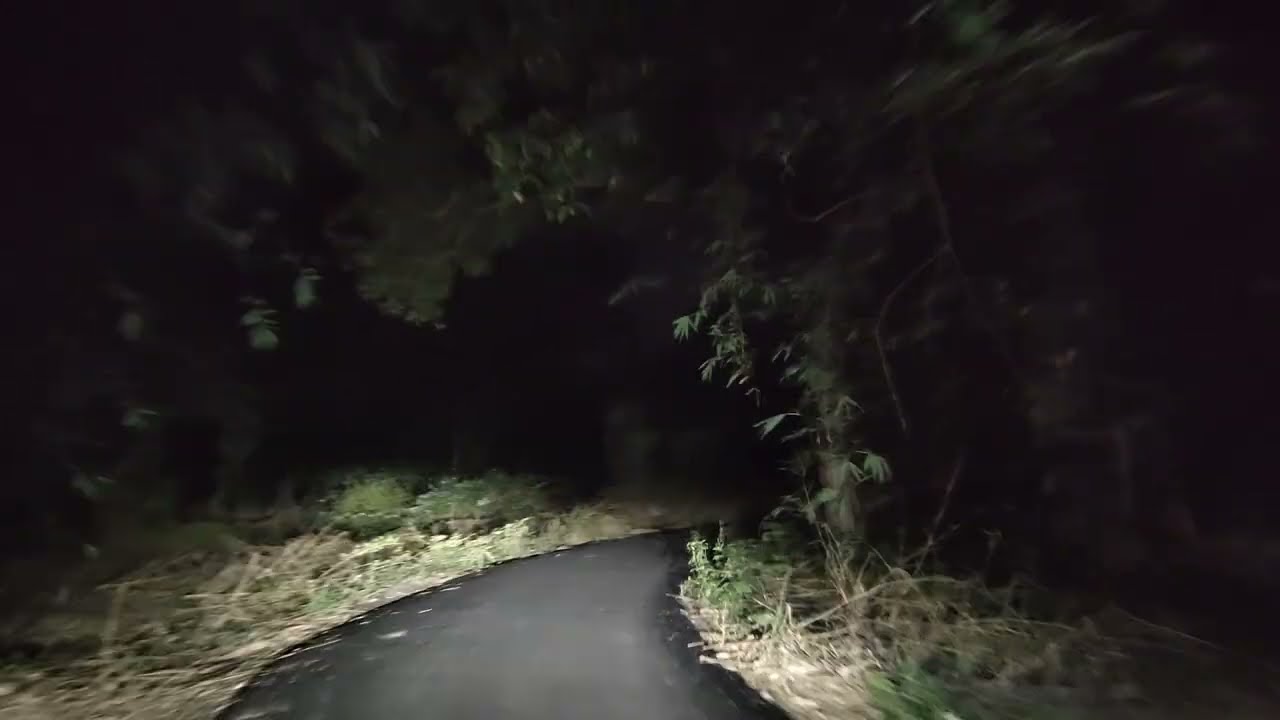 bike riding on village road at night বাঁশ বাগানের ভিতর দিয়ে অন্ধকারে বাইক চালানোর অনুভূতি