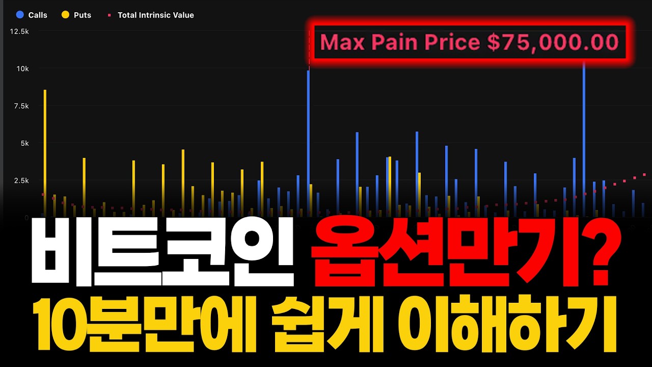 비트코인 옵션만기? 초보자도 10분이면 이해하는 옵션의 원리(쉬운 설명+해석방법)
