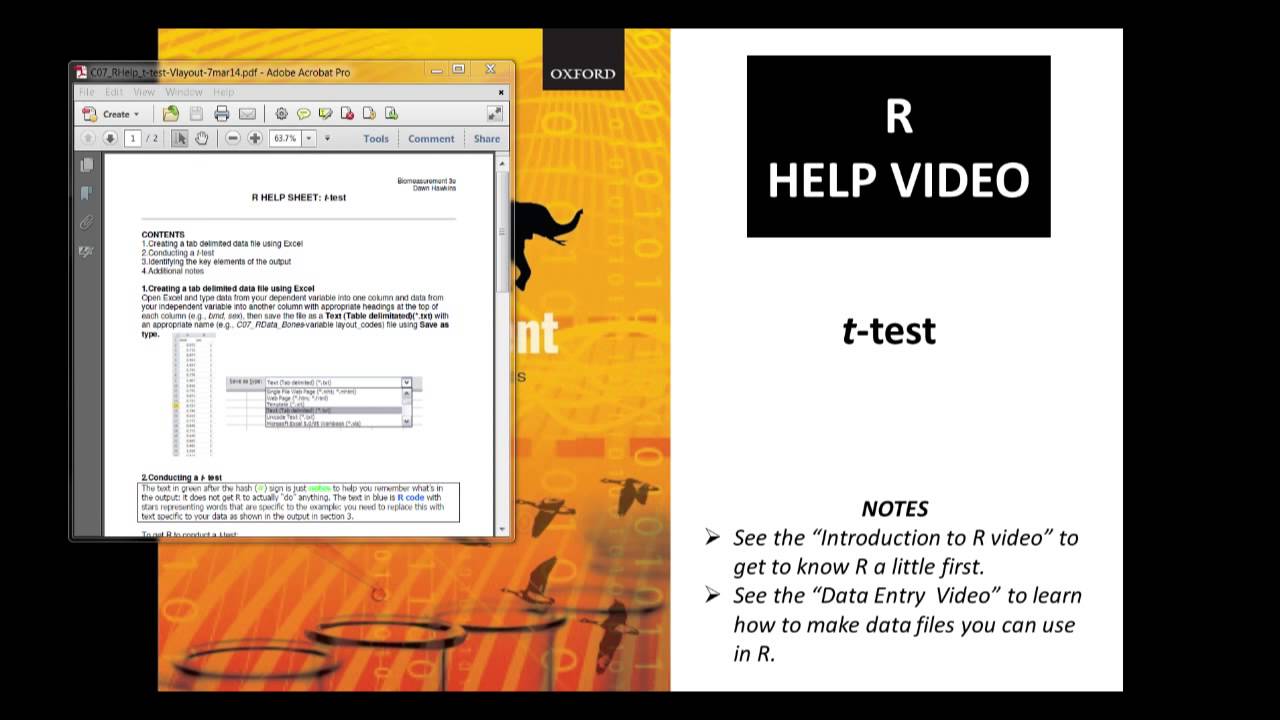 t-test in R