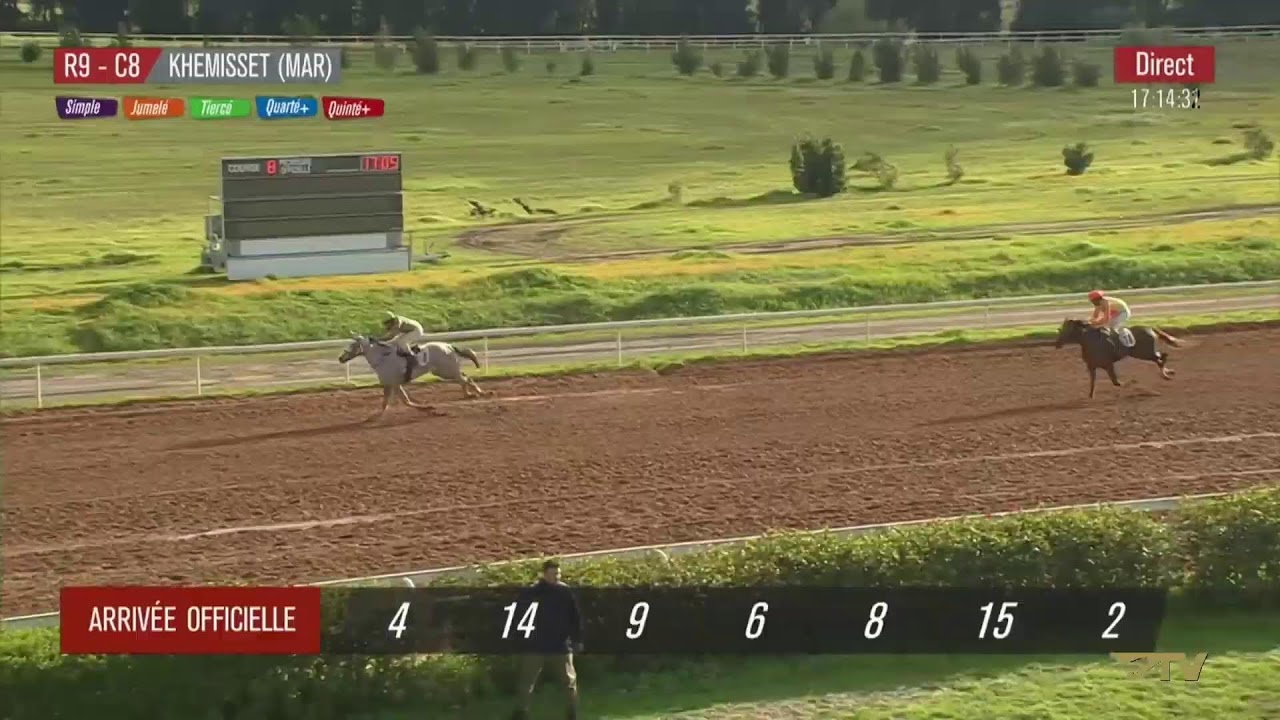 Live Hippodrome « KHEMISSET» Courses du « 10/02/2026 »