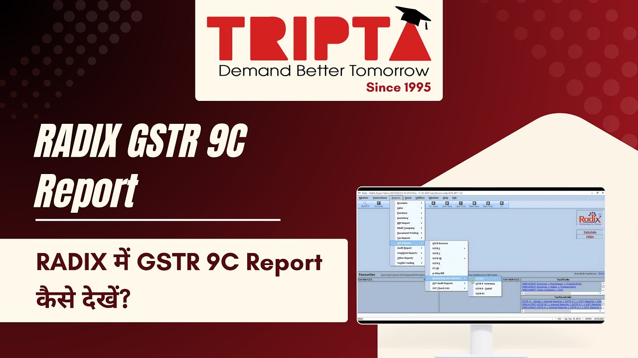RADIX GSTR 9C Report