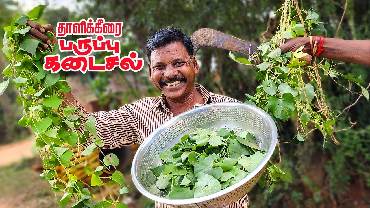 தாளிக்கீரை பருப்பு கடைசல் | Thali keerai paruppu kadaisal | Thali Spinach Recipe