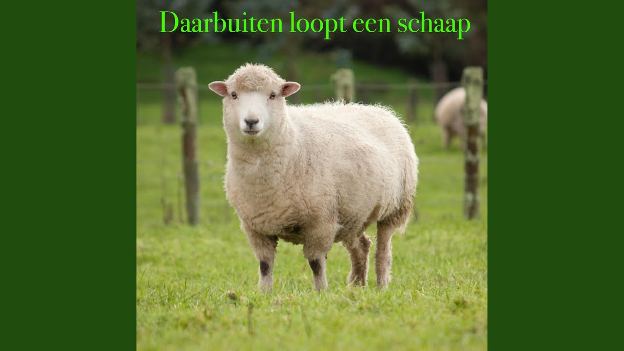 Hop, Hop, Hop, Paardje in Galop