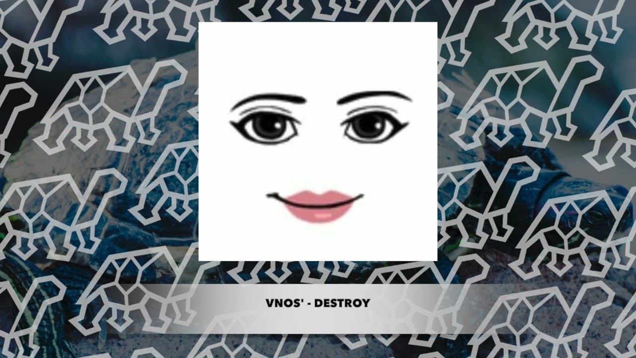 vnos' - destroy (training version)