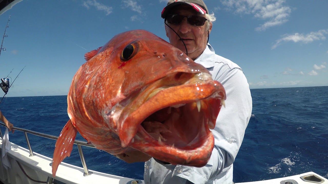 Private fishing charters with Cairns Reef Fishing on the Great Barrier Reef