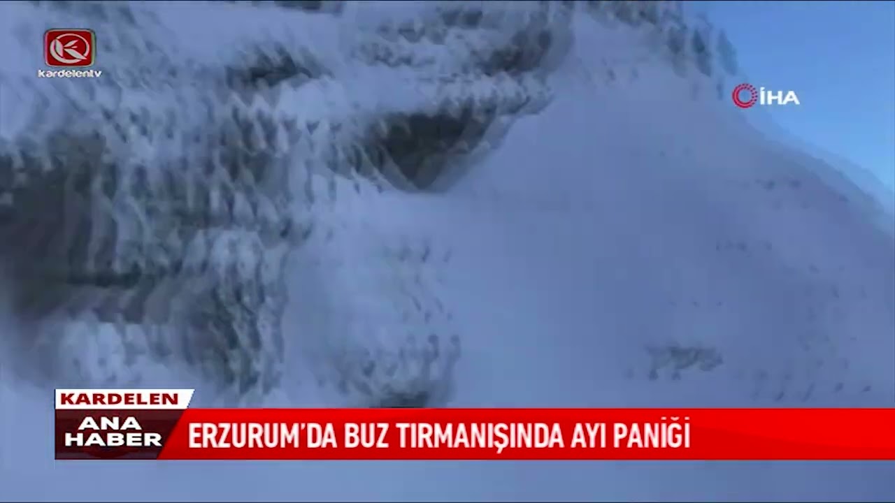 ERZURUM’DA BUZ TIRMANIŞINDA AYI PANİĞİ