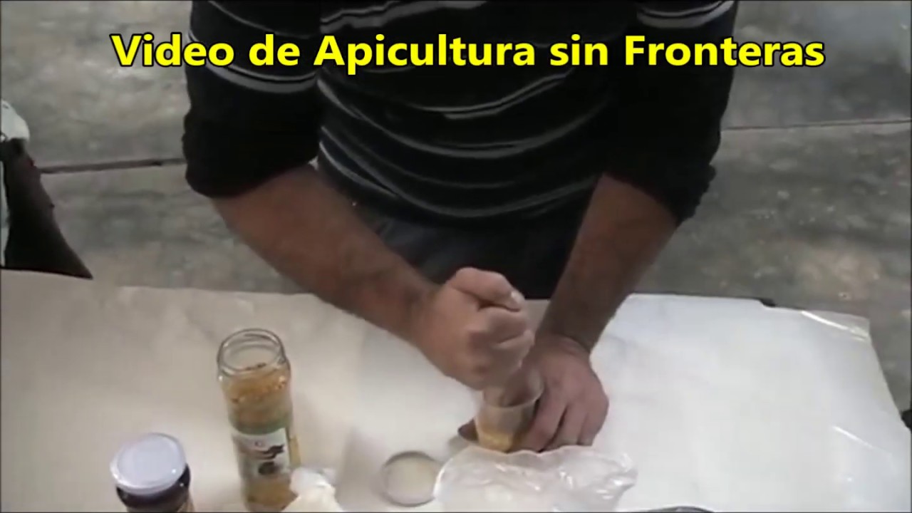 Fabricamos 4 pastas proteicas diferentes para las colmenas - Nutricion de las Abejas