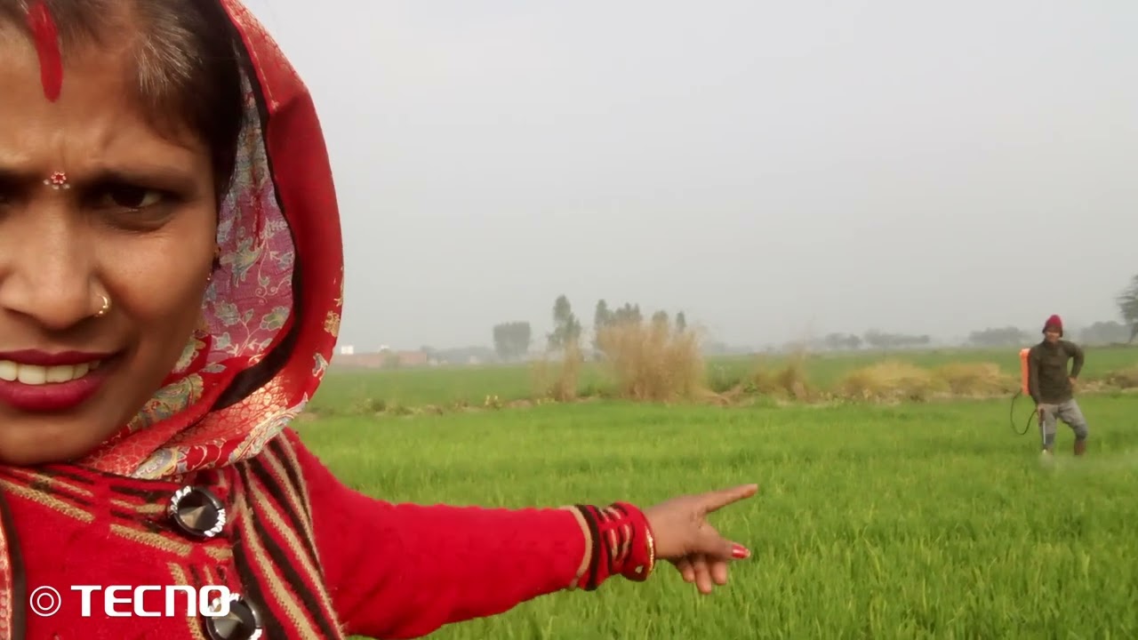 हमारे खेत में मेरी दवा