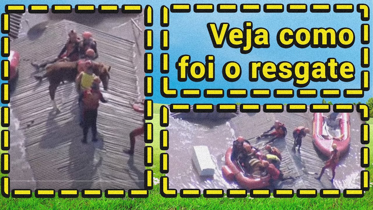 CAVALO É RESGATADO DO TELHADO EM CANOAS | Cortes da TV Cringe