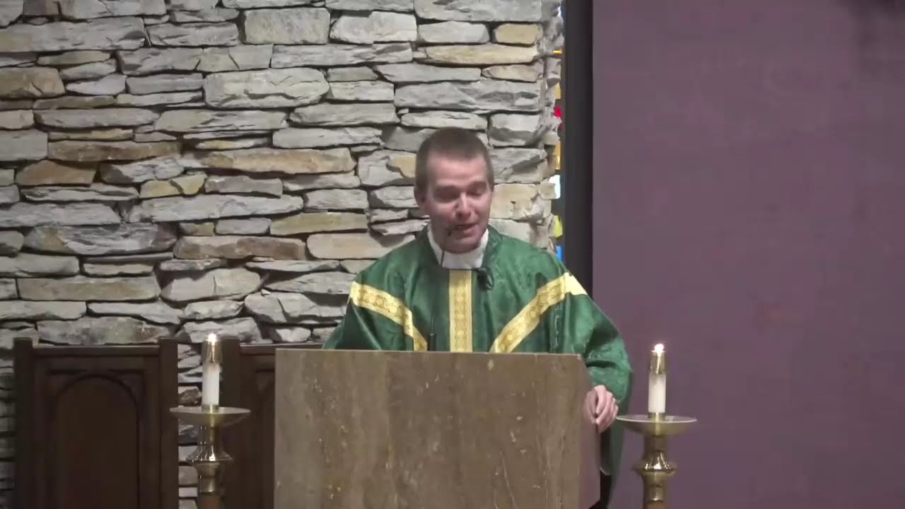Fr  Stiteler Homily 1/25/26