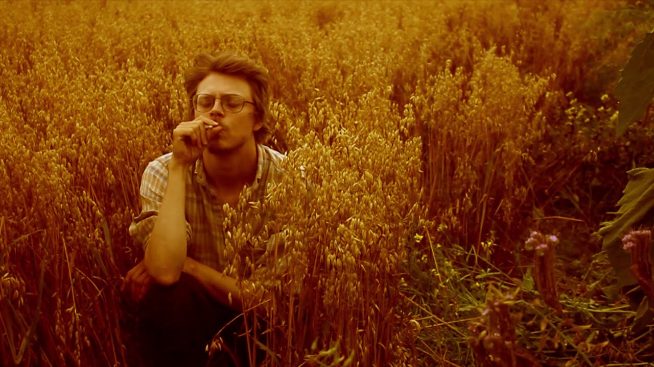 Trees (FIN): Out in the Open (Official Music Video)