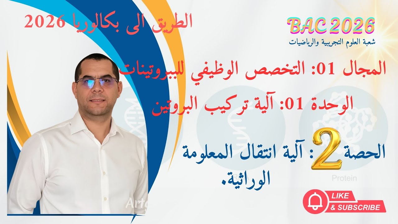 رحلة المعلومة الوراثية 📜: من النواة 🏰 ➡️ إلى مصانع البروتين في الهيولى 🏭.