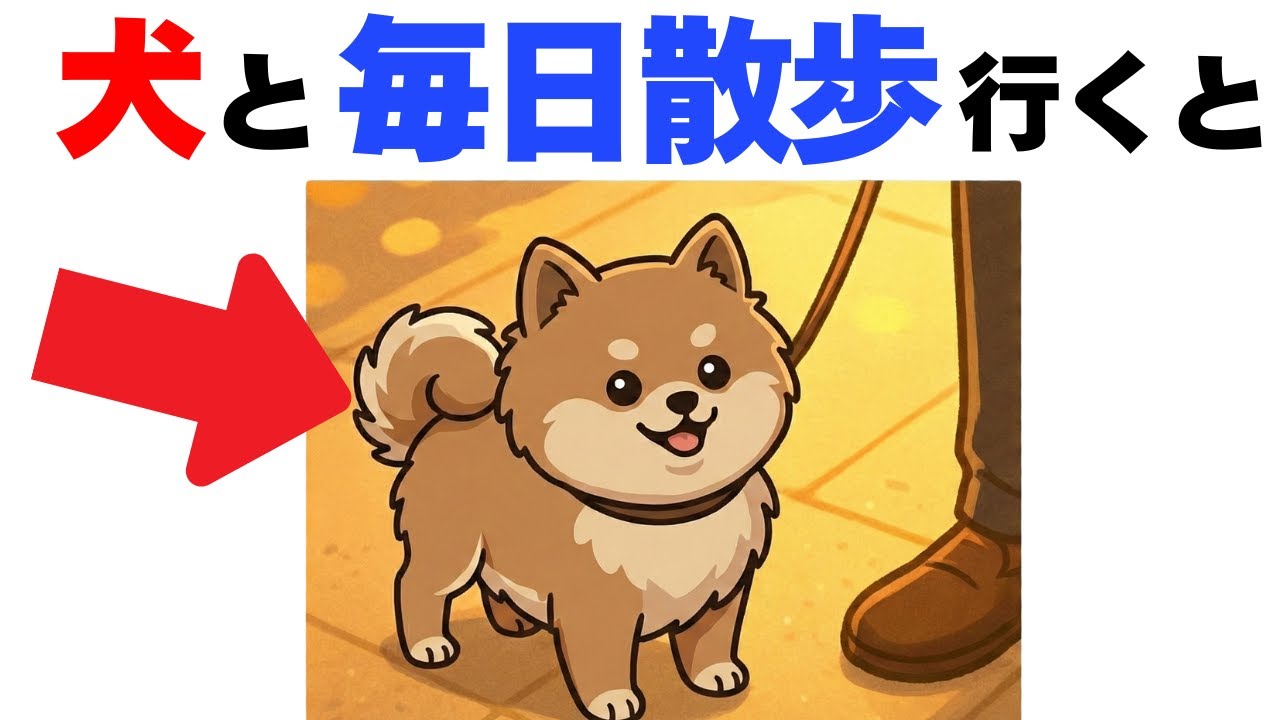 【驚愕】犬の散歩で大切な事１２選