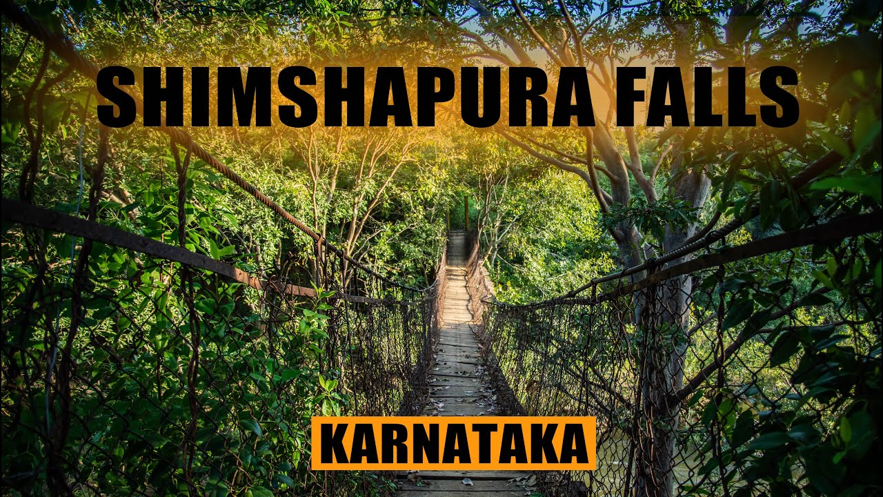 WILL YOU DARE CROSS THIS HANGING BRIDGE? - SHIMSHAPURA FALLS